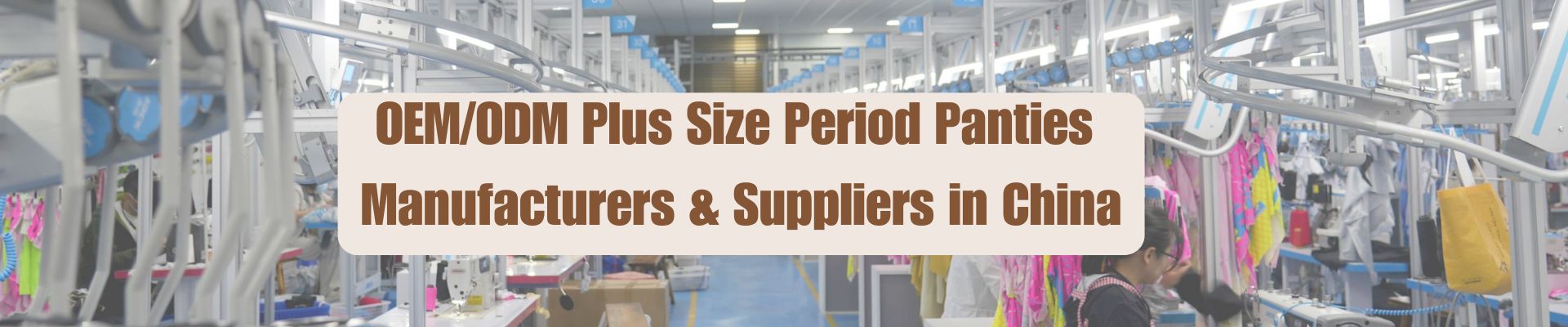 Plus size period panties